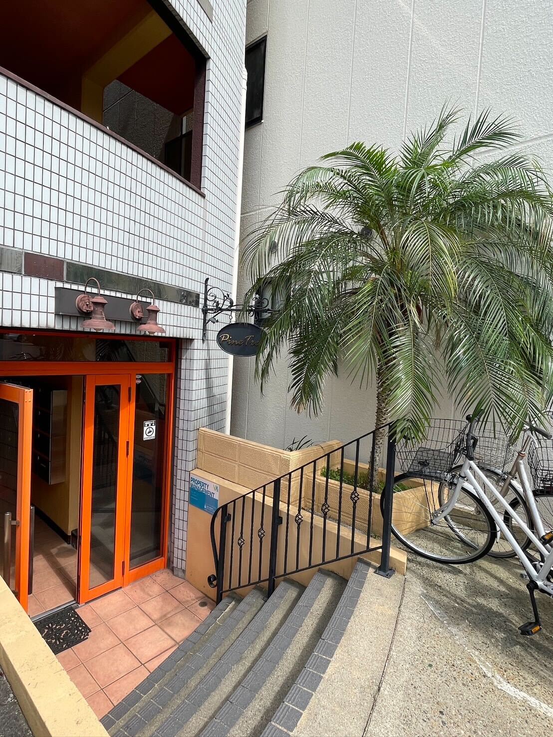 伏見区京町のPine Treeマンション外観